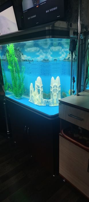 Аквариум аквариум