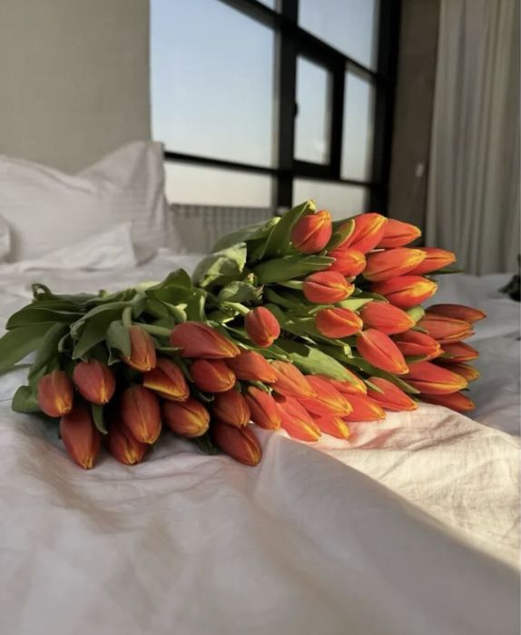 Тюльпаны местные