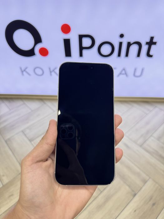 iPhone 16 Pro Max | 256GB | 91%