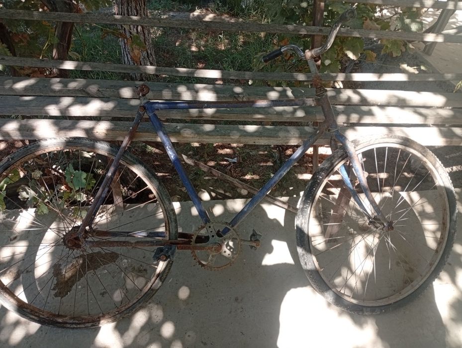 velosifed tortishi yaxshi