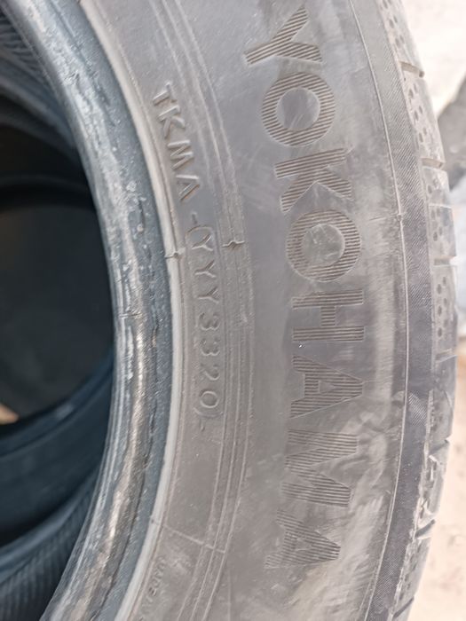 Продам резину yokohama, лето