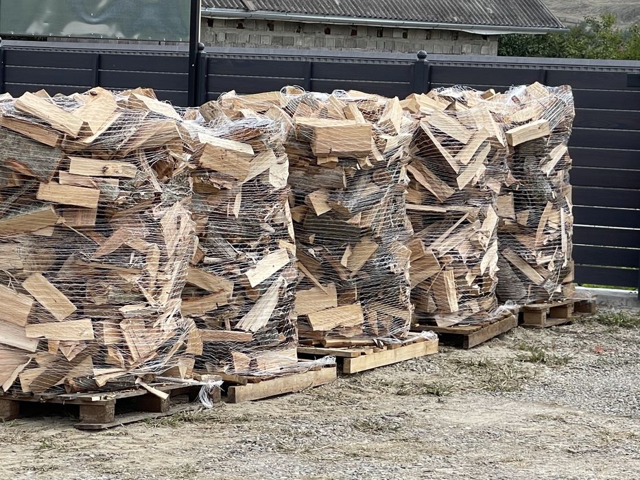 Lemn foc paletizat esenta fag