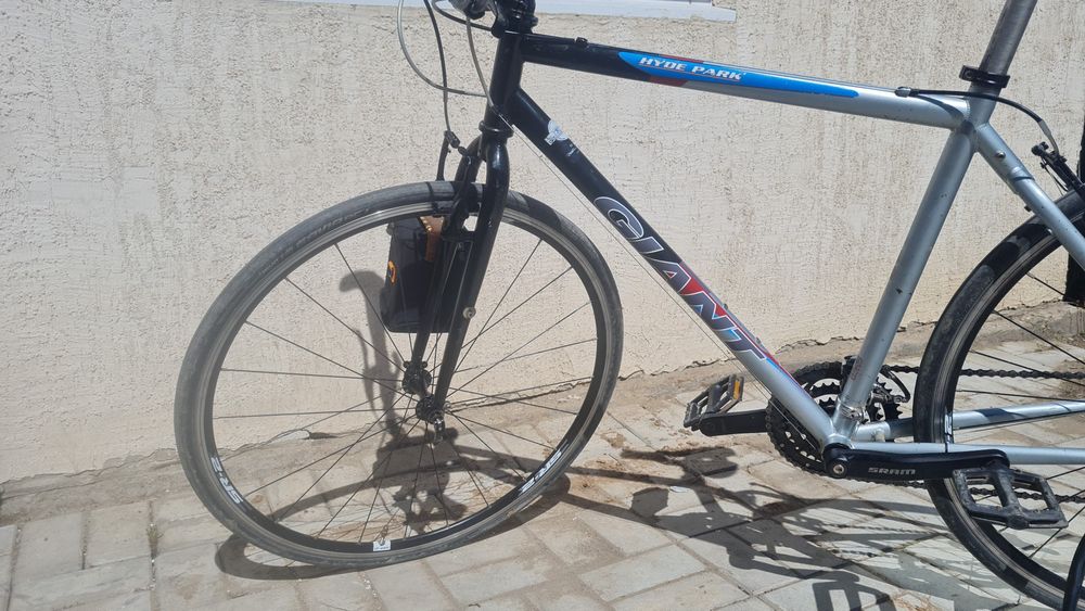 Giant hyde park гибрид