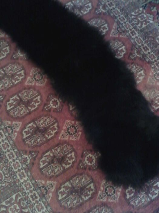 Продаю воротник  песец, соболь