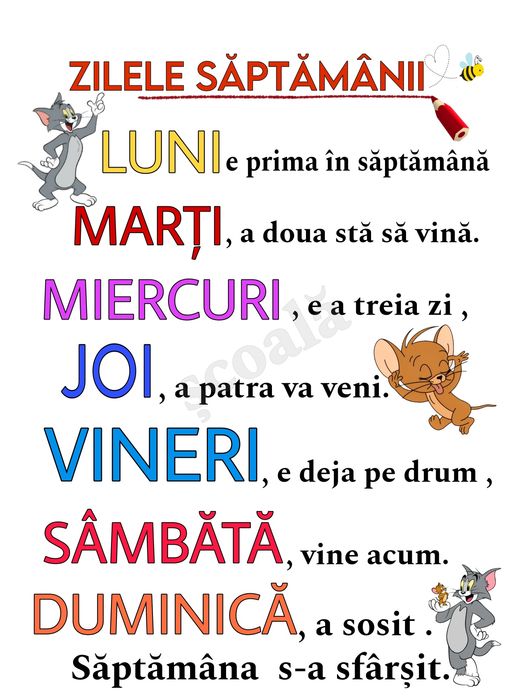 Planșe educative plasticate