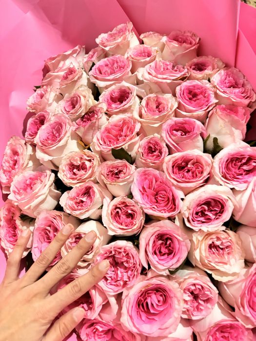 Букет 51 штук свежий