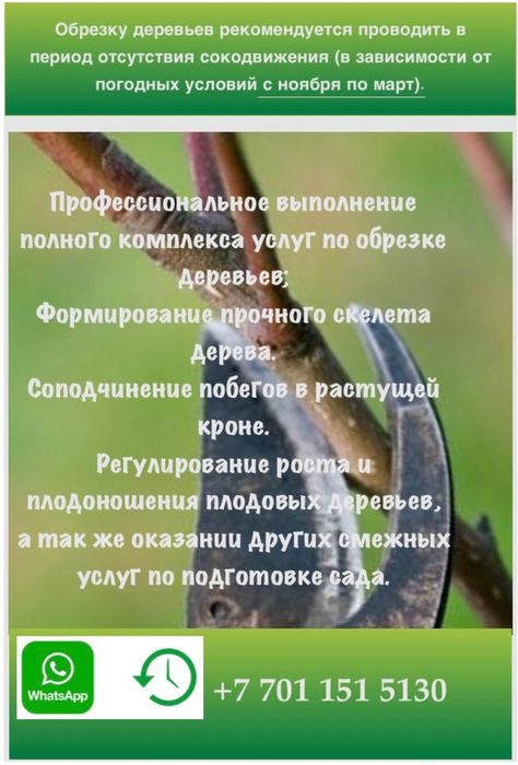 Обрезка деревьев