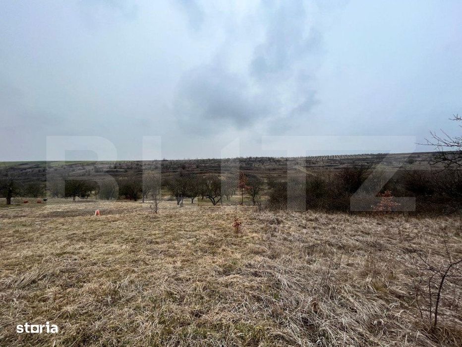 REDUCERE!!! Teren extravilan 5.613 mp, livada, zona Predesti
