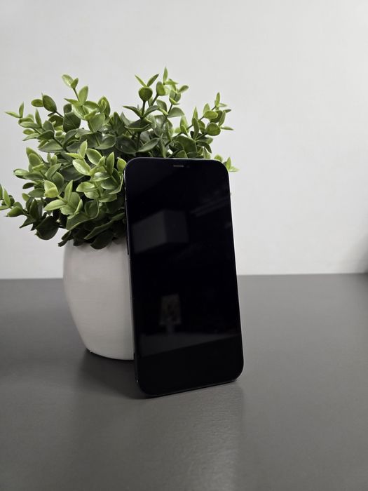 iPhone 12 Pro Max 512Gb