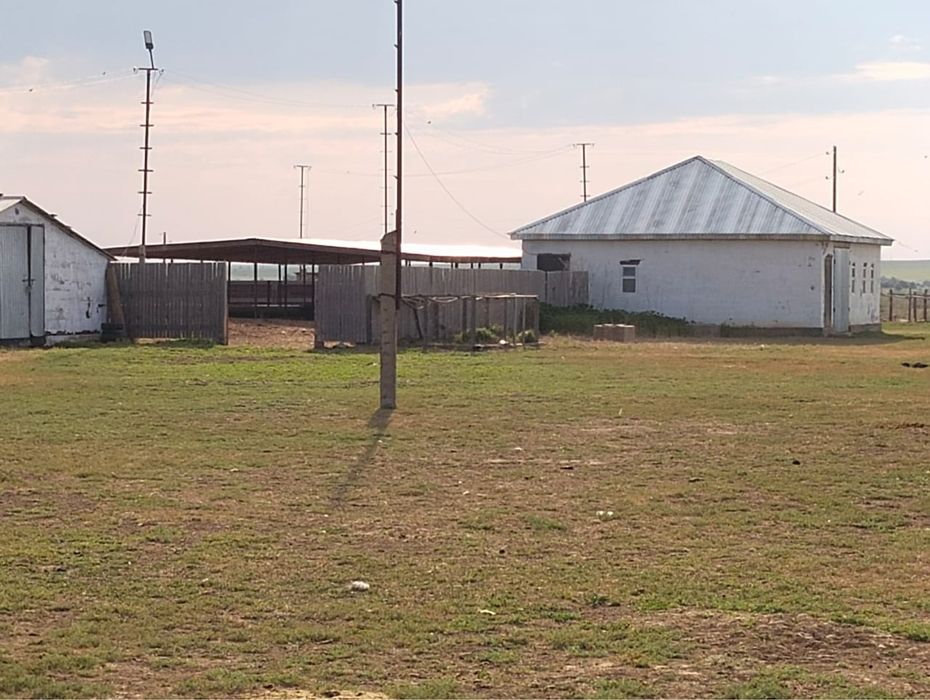 Шаруа қожалық сатылымда