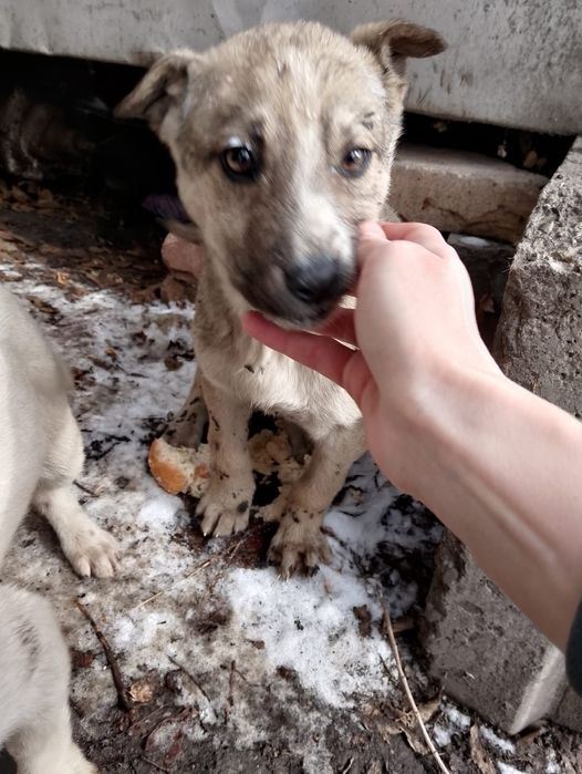 В самые добрые и заботливые ручки...