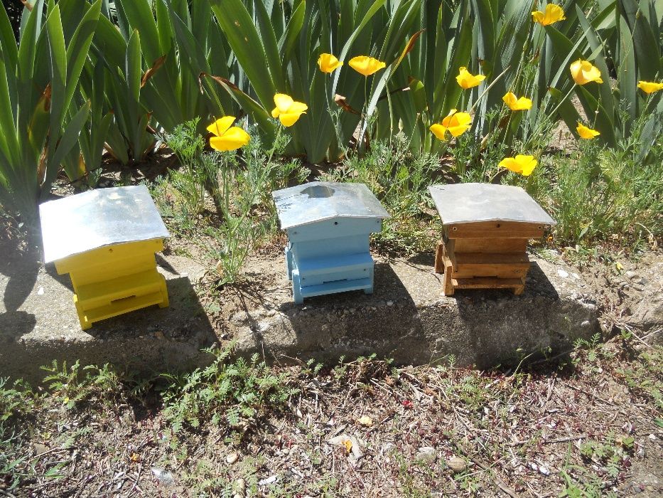 Сувенири за хора обичащи пчелите и меда.