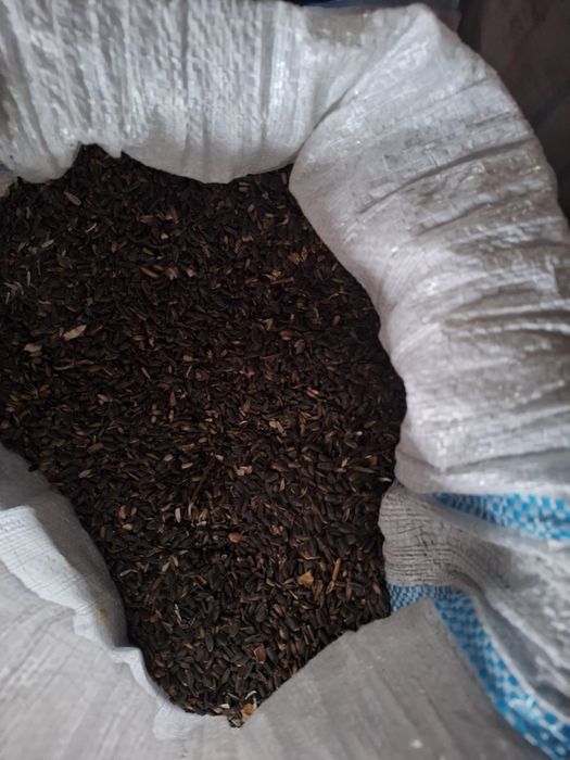 Vand floarea soarelui