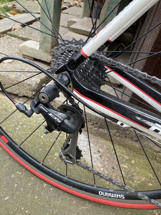 Cursiera axevo M/L Carbon