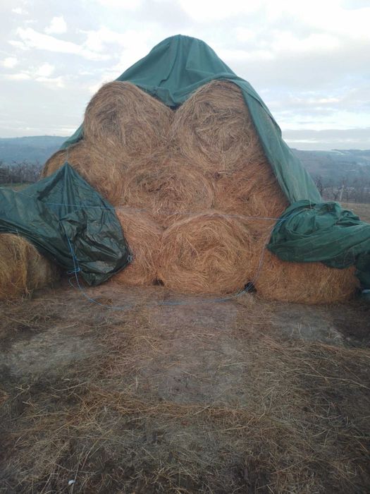 Baloti de fan de vanzare