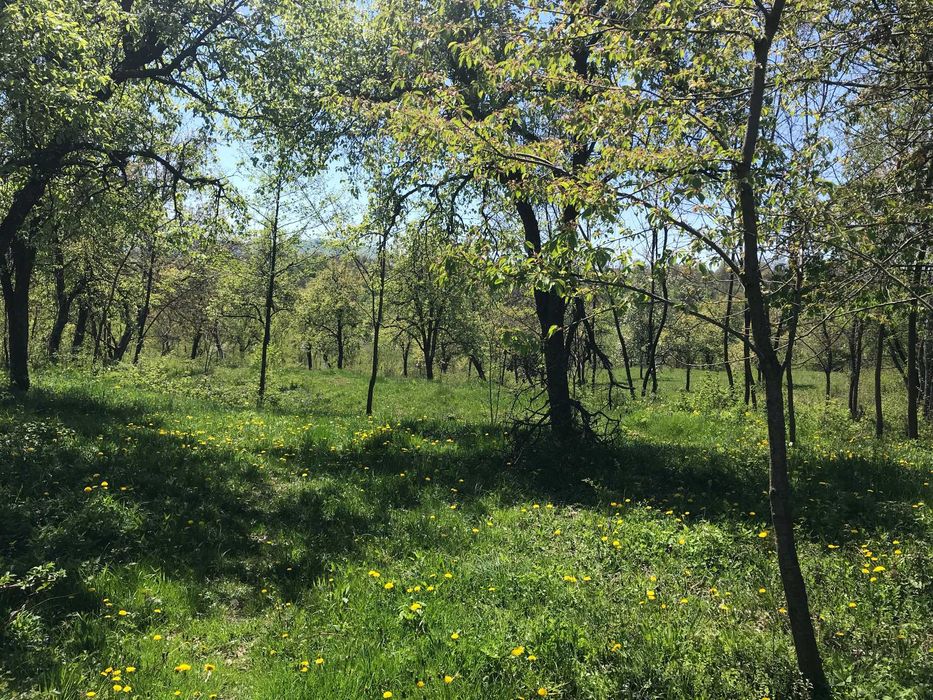 Teren intravilan zona de munte - Albestii de Muscel (Arges)