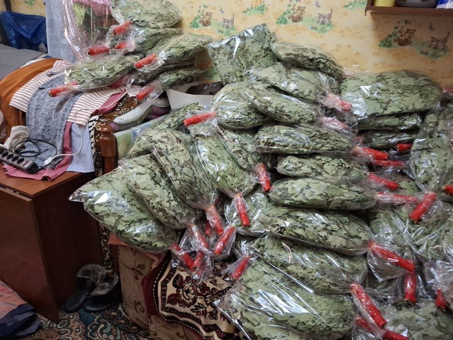 Продам  веник дубовыи