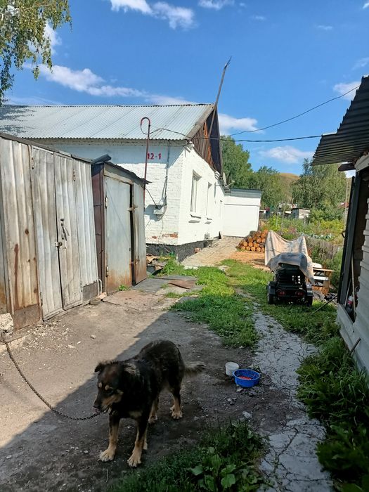 Продам дом в селе Ушаново