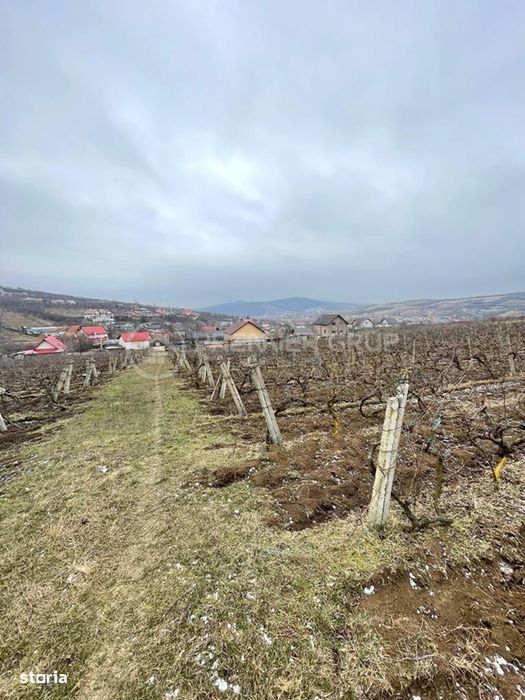 Teren intravilan 2.617mp, Chicerea, comuna Tomești