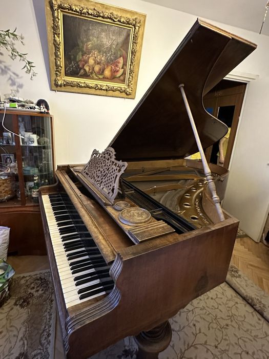 Vand pian coada lunga