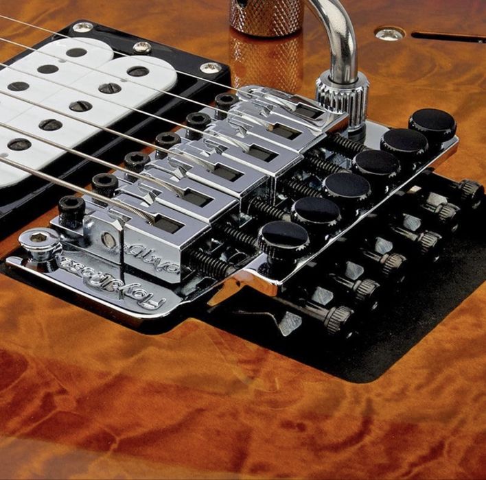Setup chitare electrice Floyd Rose/ Double Locking Tremolo Floating Bridge-Judetul Bacau