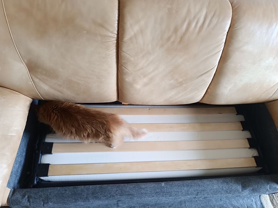 Диван трёхместный  Польша