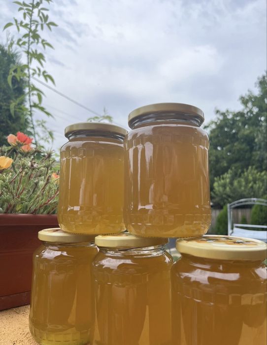 Miere de albine de tei