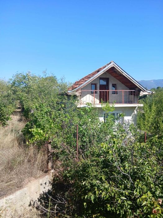 2бр. Вили в непосредствена близост.