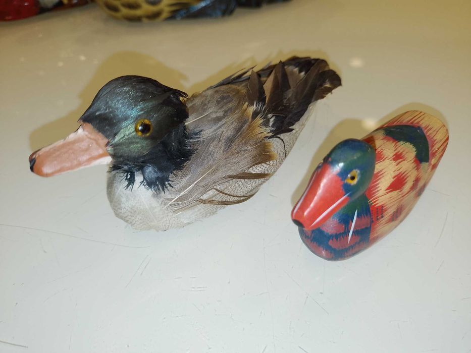 Rate/Pasari Decor Gradina