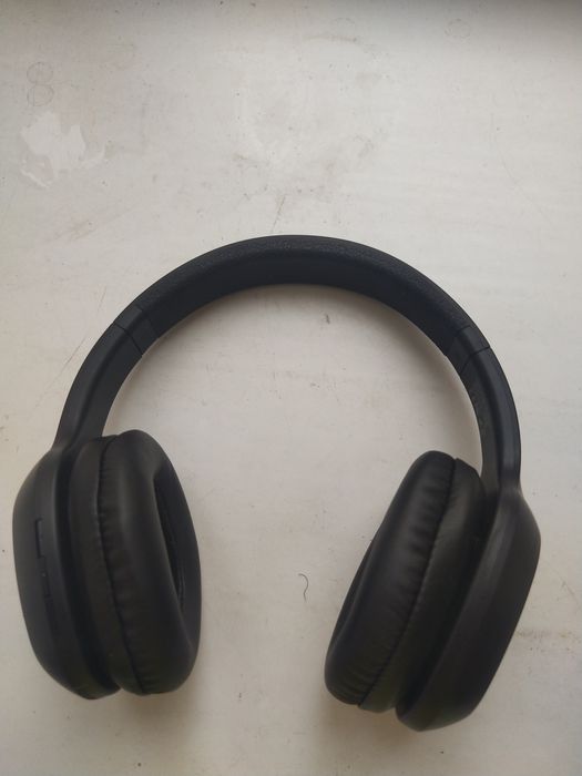 Науошник селебрат