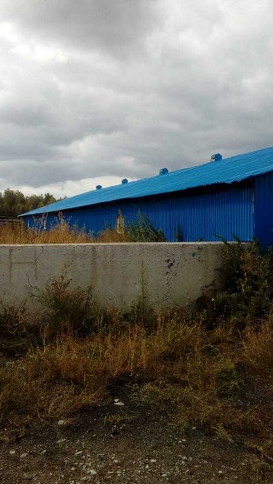 Срочно! Продам базу. Трудовая Нива. 30 км от Петропавловска - View 6