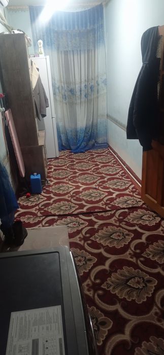 Богот центр навойи курпс