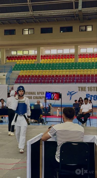Taekwondo WTF  Trener