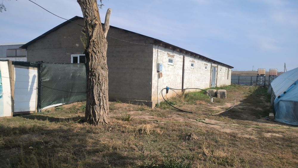 Продается ЛПХ с базой и теплицами.