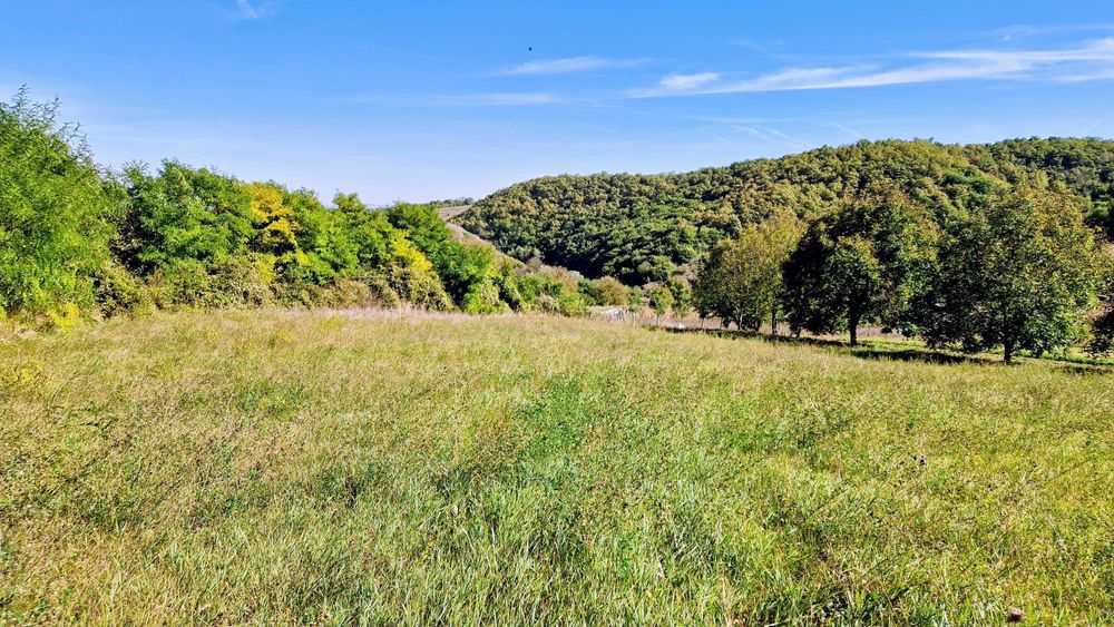 Teren 3826 mp în sat Moldovenești