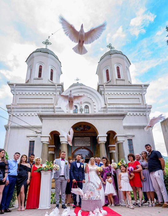 Porumbei  nuntă evenimente! Covor rosu coloane,arcadă pomisori!