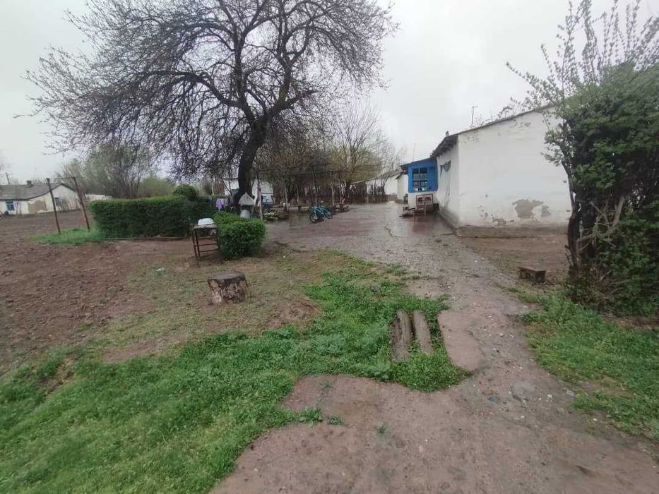 Tezda uy sotiladi – Bo‘ka tumani