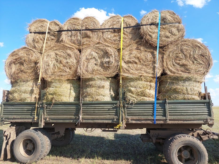 Шөп сатылады доставка +12.000