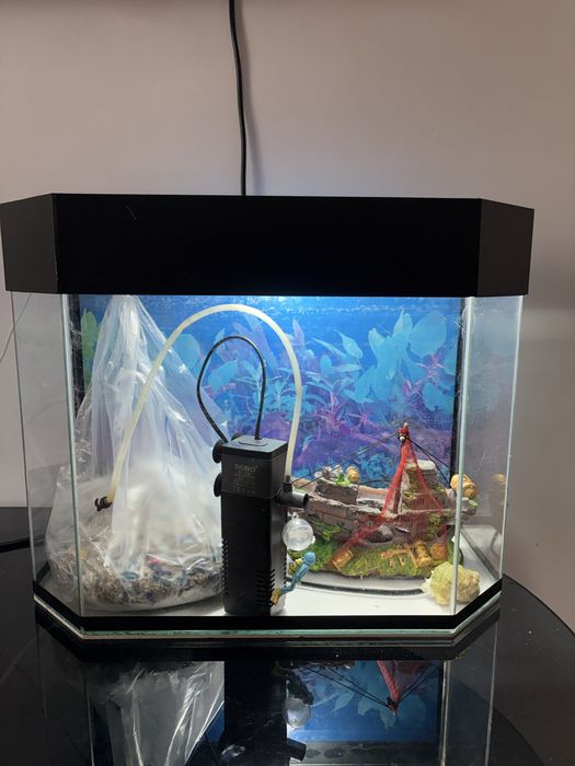 Аквариум сатылады