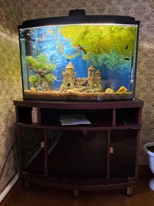 Рыбки с аквариумом