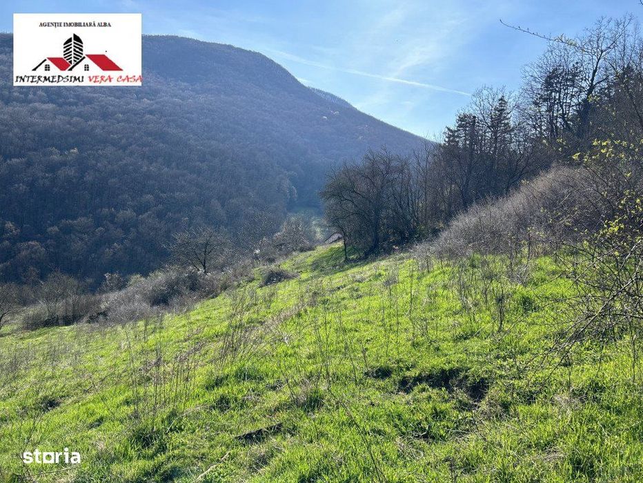 Teren intravilan - extravilan 9,3 Ha de vanzare Matacina Jud Alba