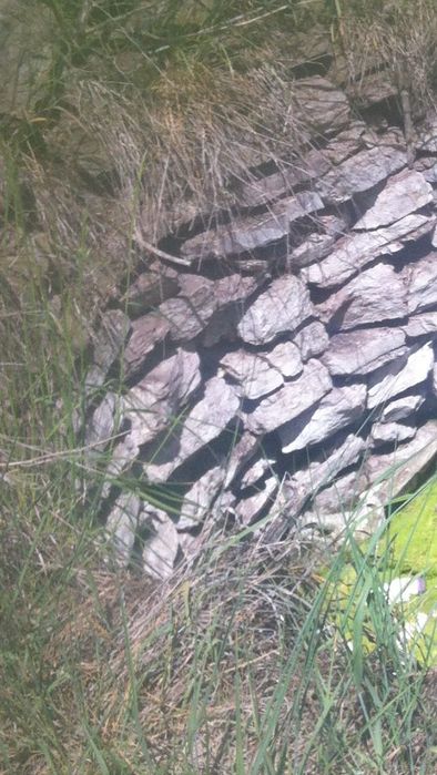 У П И 5595 кв/м с ВИЗА ЗА Хале Склад Фабрика