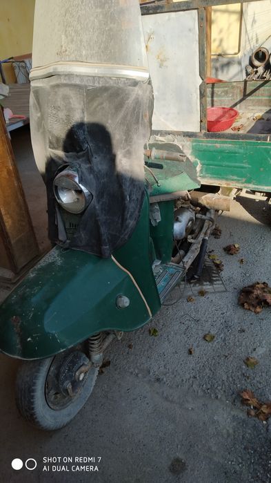 Mataroʻl.     муравей