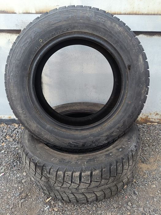 Шины зимние Maxxis R15.