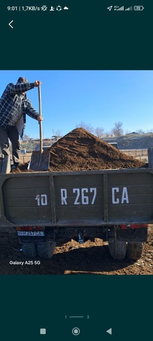 Гонг Gong bor chirigan toza