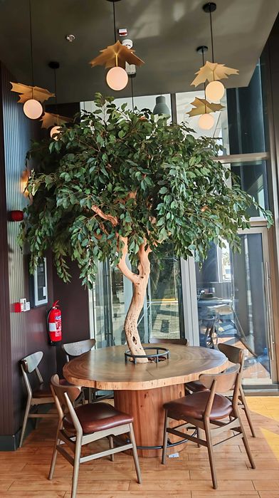 Copaci, Bonsai si Măslini Artificiali