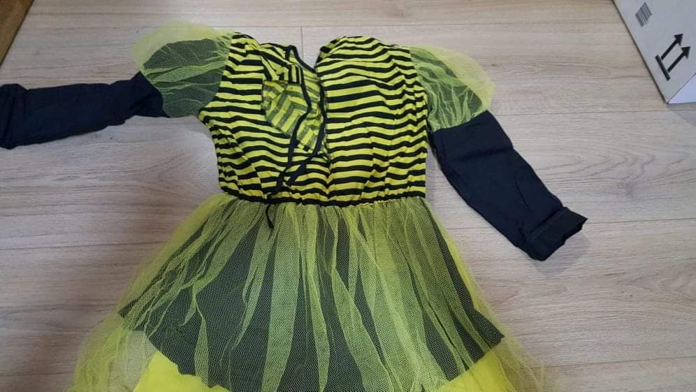 Costumas carnaval Albinuta