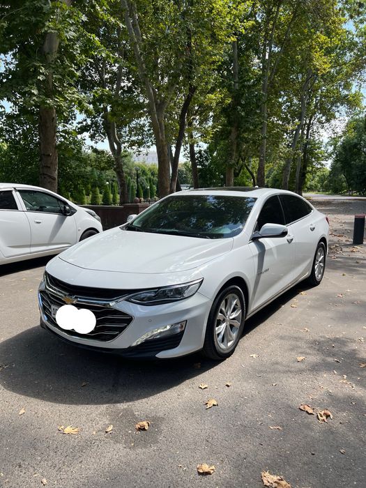Malibu Premier 2020