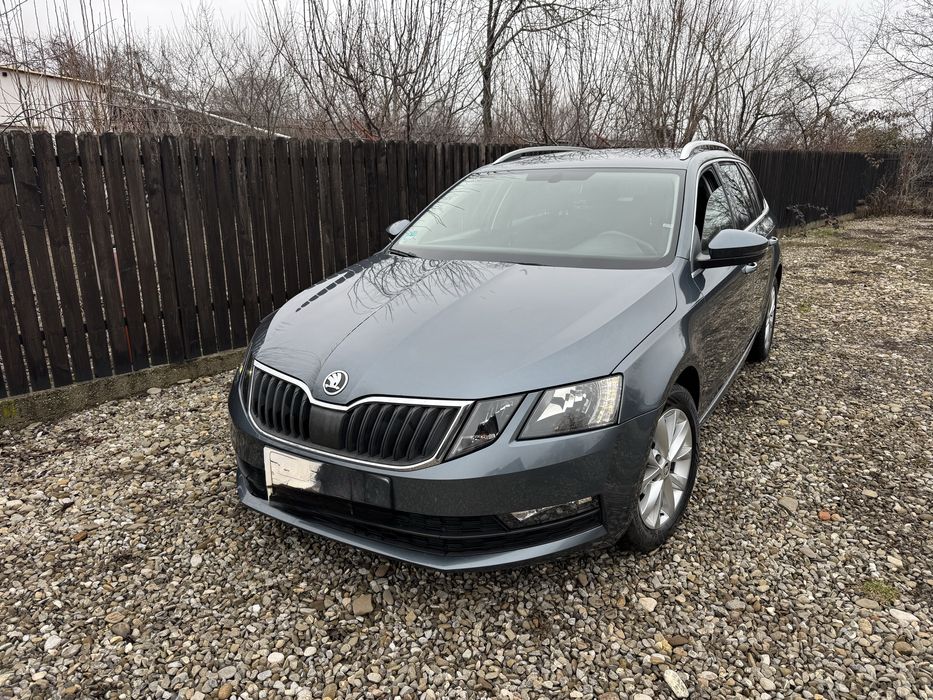 An 2019 “ Led “ Navi “ Piele