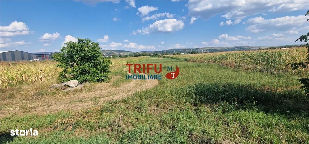 Teren intravilan construibil de 5.900 mp, zonă industrială, Șoseaua de